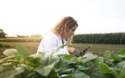 Producción agrícola sostenible: clave para el futuro del campo