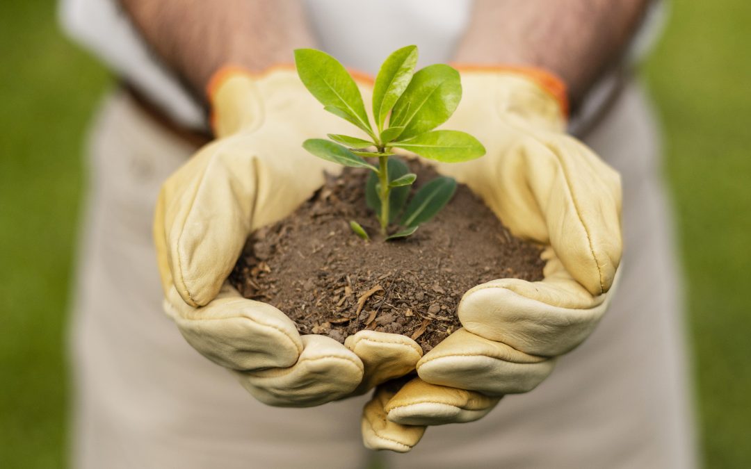 Fertilizantes organominerales (WARA)